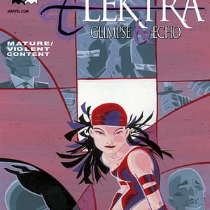 Marvel Knights: Elektra: Glimpse & Echo #4
