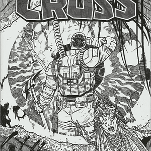 Southern Cross #13 (2017)